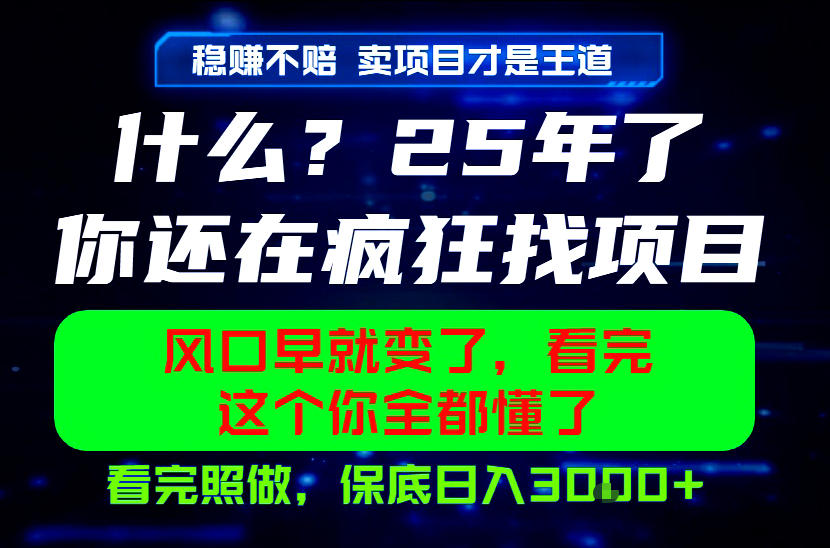 26年，请不要疯狂的找项目做了！卖项目才是真的稳賺不赔，看完照做，保底日入1k+